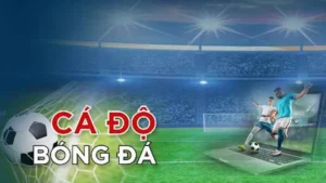 Tìm Hiểu Cá Cược Bóng Đá 123WIN: Hành Trang Thắng Lợi 7 Tìm Hiểu Cá Cược Bóng Đá 123WIN: Hành Trang Thắng Lợi