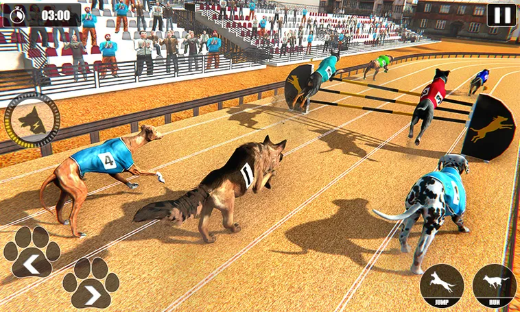 Cách Chơi Game Đua Chó Tại 123WIN: Bí Quyết Thắng Nhanh 2 Cách Chơi Game Đua Chó Tại 123WIN: Bí Quyết Thắng Nhanh