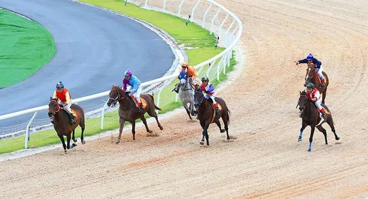 Tìm Hiểu Cá Cược Đua Ngựa 123WIN: Hành Trình Thắng Lợi 2 Tìm Hiểu Cá Cược Đua Ngựa 123WIN: Hành Trình Thắng Lợi